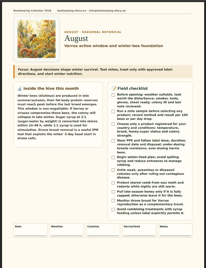 August page of the Beekeeping Calendar 2026 — Varroa action window and winter-bee foundation